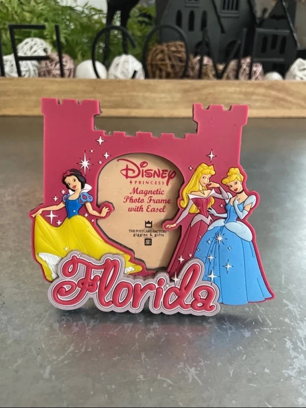 Disney Princess Florida Magnetic Photo Frame